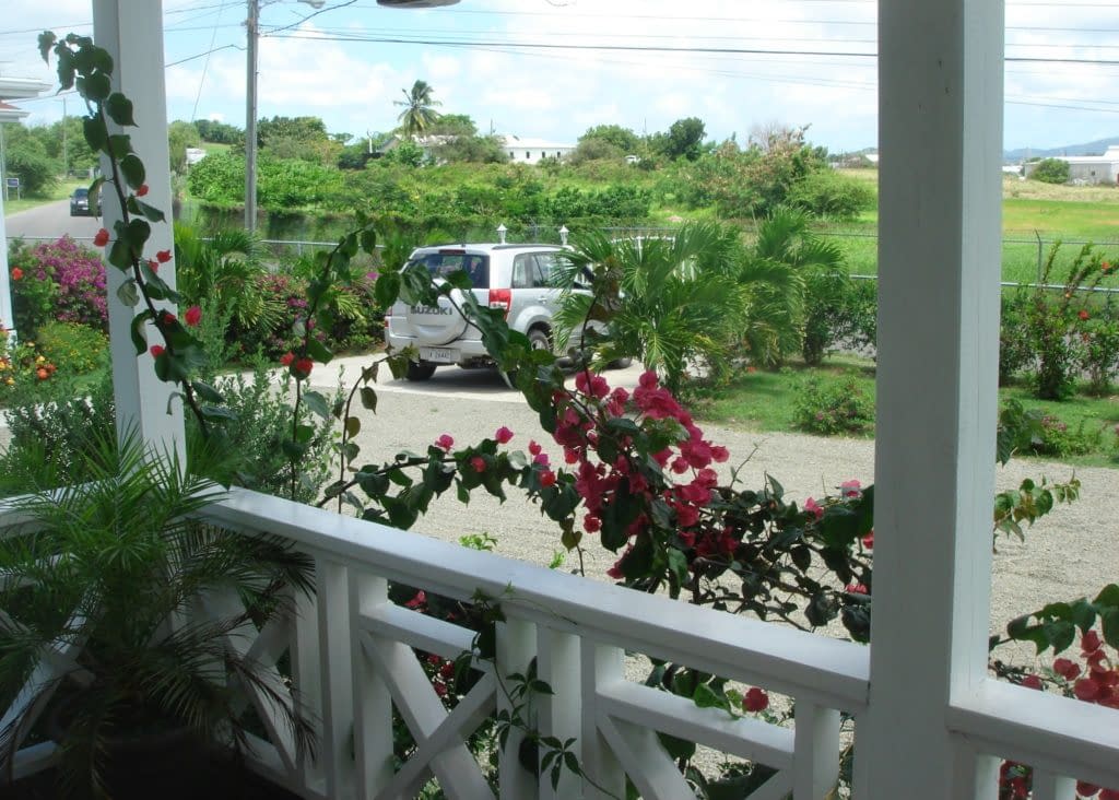 view